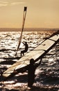 Windsurfers Royalty Free Stock Photo