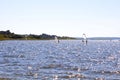 Windsurfers in the middle of a lake Royalty Free Stock Photo