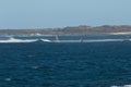 Windsurfers sailing in the island of Fuerteventura.