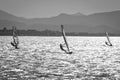 Windsurfers in the sea