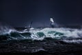 Windsurfers Royalty Free Stock Photo