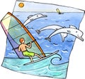 Windsurfing with dolphins