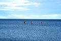 Windsurfing sail boarding. Sailboarding sport. Surfer on board is surfing in sea. Royalty Free Stock Photo