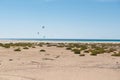 windsurfing sails and kite surfing in the wind on a paradisiacal beach