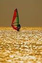 Windsurfing sunset Royalty Free Stock Photo