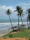 Windswept Beach