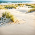 Windswept Beach Sand With Dune Grass Royalty Free Stock Photo