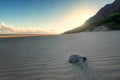 Windswept Kalalau Beach in the Na Pali Coast of Kauai, Hawaii Royalty Free Stock Photo