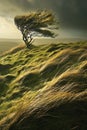 Windswept landscapes during windy weather