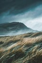 Windswept landscapes during windy weather