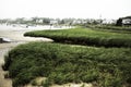 Marsh at harbor in Chatham, Massachusetts on Cape Cod.