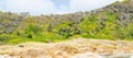 Windswept New Zealand panorama with evergreen native bush beyond beach grass foreground