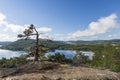 Windswept pine tree on a cliff in in the High Coast area i Vasternorrland Sweden Royalty Free Stock Photo