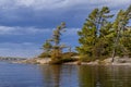 Windswept pines at Beausoleil Island, Ontario, Canada