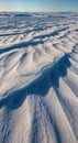 Windswept Snow Formations Sastrugi with Sculptural Ridge Patterns and Strong Side Lighting Royalty Free Stock Photo