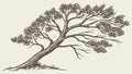 Windswept Tree Vector Engraving for Dynamic Landscapes, vector design Generative AI Royalty Free Stock Photo