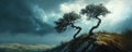 windswept trees on hilltop under stormy sky, dramatic landscape. nature and resilience concept Royalty Free Stock Photo