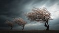 Windswept trees under dramatic cloudy sky in stormy weather scenery Royalty Free Stock Photo