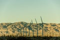 Windturbine field in California with mountains in the background Royalty Free Stock Photo