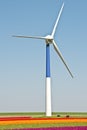 Windturbine in the Netherlands