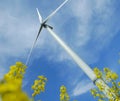 A windturbine into a field Royalty Free Stock Photo