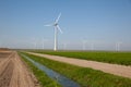 Windturbines producing alternative energy