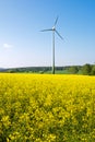 Windwheel and rapeseed field Royalty Free Stock Photo