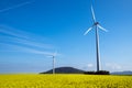 Windwheel and rapeseed in Germany Royalty Free Stock Photo