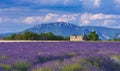 Windy afternoon in Provence