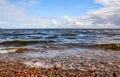 Windy autumn day on the shore of lake Ladoga. Royalty Free Stock Photo