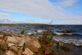 Windy autumn day on the shore of lake Ladoga. Royalty Free Stock Photo