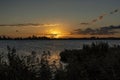 During a windy autumn morning with waving plumes rode along lake Zoetermeerse Plas, the sun has just risen over the horizon and sh Royalty Free Stock Photo