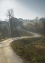 Windy Country Road In The Morning Mist