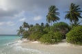 Windy day in paradise Royalty Free Stock Photo