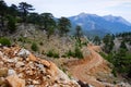 Windy dirt road in the mountains in Turkey