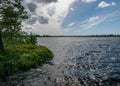 Windy landscape with a swamp lake, the lake water ripples and trees move in strong winds Royalty Free Stock Photo