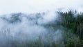 Windy mountain road through a misty forest Royalty Free Stock Photo