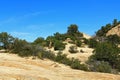 Windy Point Vista on Mt. Lemmon Royalty Free Stock Photo