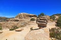 Windy Point Vista on Mt. Lemmon Royalty Free Stock Photo