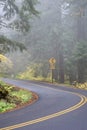 Windy Road on a Foggy Day Royalty Free Stock Photo