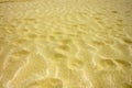 Windy Sand Waves Grain Golden Natural Background