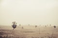 Windy before sandstorm in the Katpana Desert, Pakistan. Royalty Free Stock Photo