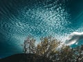 Windy Sky Full of Disperse Clouds