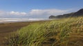 Windy Sunny Day on the Beach With Brown Sand.Forested Mountains in the Background.Green Grass on the Dune Moved by the Wind.