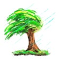Cartoon windswept tree bending to the right isolated illustration Royalty Free Stock Photo