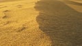 Windy weather in desert dunes. Countless grains of