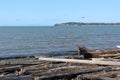 A windy winter day at a Pacific Northwest Royalty Free Stock Photo