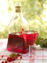 Wine Royalty Free Stock Photo