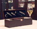 Wine accessories with wine glass