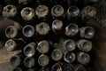 Wine aging bottles covered in dust and mold